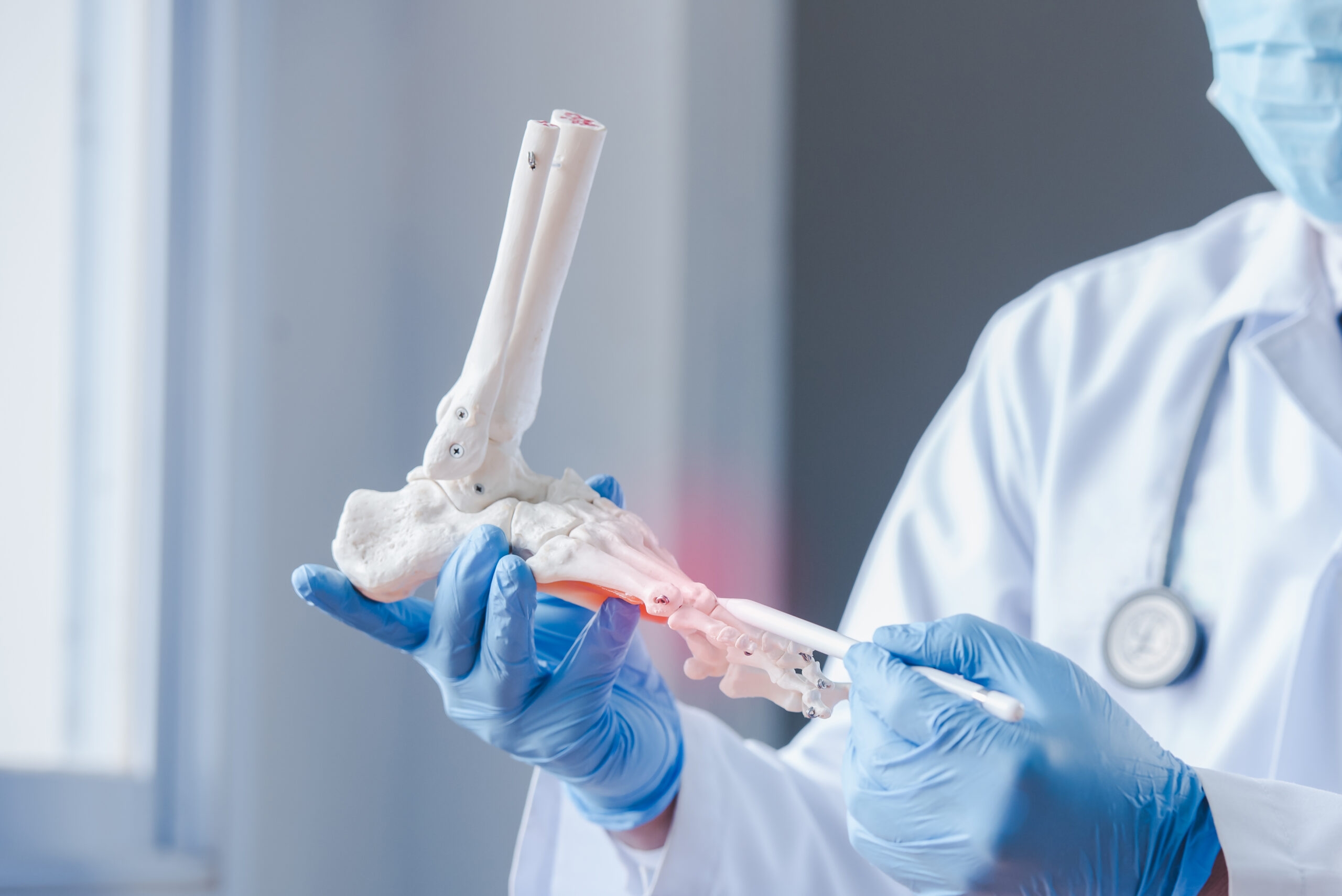 An orthopedic doctor looking at a fake ankle bone Male doctors o